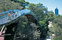 Walk among the tree tops in Kings Park.