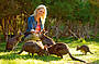 Feed the cute wallies on the Wallaby Walk