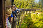 Puffing Billy over a bridge