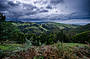 Great Ocean Road & Otway's Rainforest Tour Reverse Direction (with Lunch)