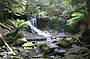 Waterfall in Mt Field National Park