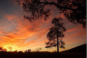 4 day Lake Eyre & Flinders Ranges Tour - Standard Motel Unit with Ensuite (Single/Solo Traveller)