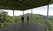 explore from the top to the bottom of the rainforest canopy